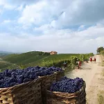 Villaggio Narrante - Le Dei Conti Mirafiore 4*