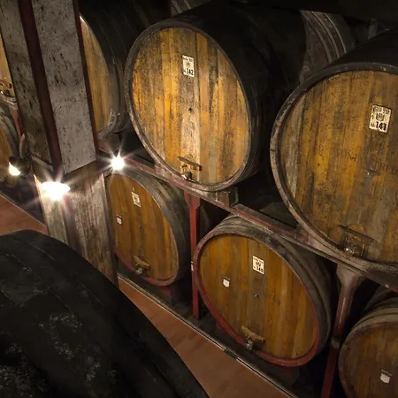 Villaggio Narrante - Le Dei Conti Mirafiore 4* Serralunga d'Alba