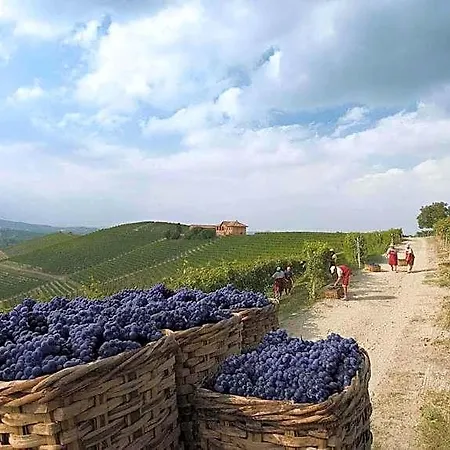 Villaggio Narrante - Le Dei Conti Mirafiore 호텔