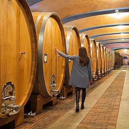 Villaggio Narrante - Le Dei Conti Mirafiore 4*