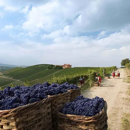 Villaggio Narrante - Le Dei Conti Mirafiore 4*