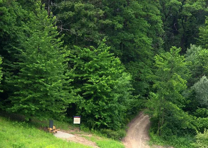 Villaggio Narrante - Le Dei Conti Mirafiore 4*