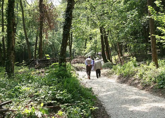 Villaggio Narrante - Le Dei Conti Mirafiore Hotel 4*